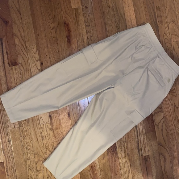 The North Face Standard Cargo Pant - Picture 4 of 13